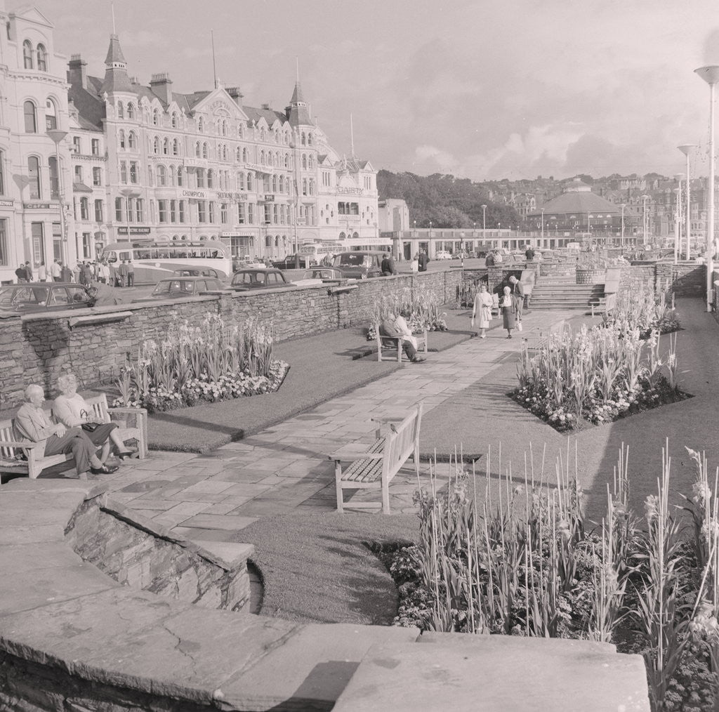 Detail of Douglas Promenade sunken gardens by Manx Press Pictures