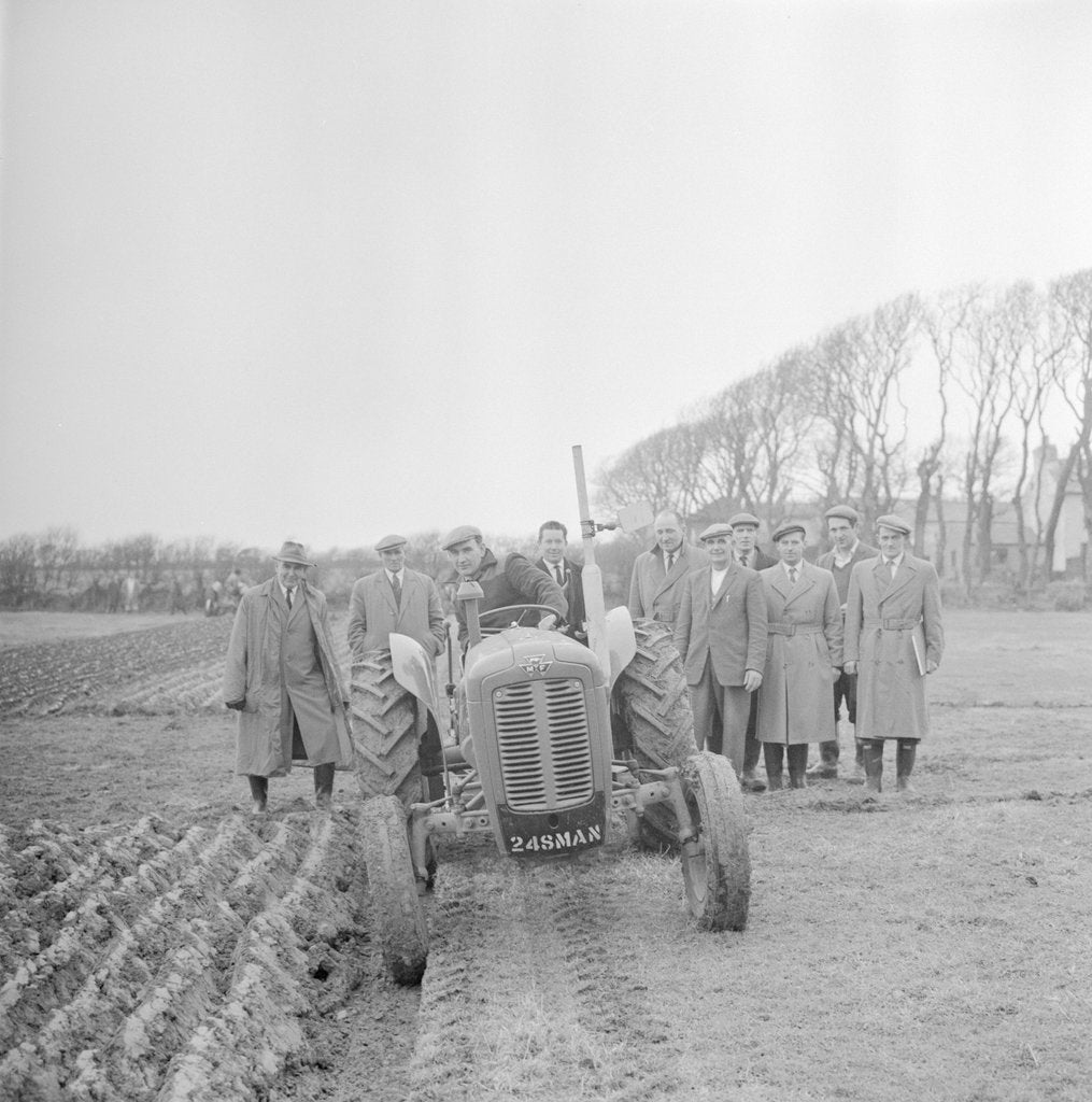 Detail of National Ploughing Match, Isle of Man by Manx Press Pictures