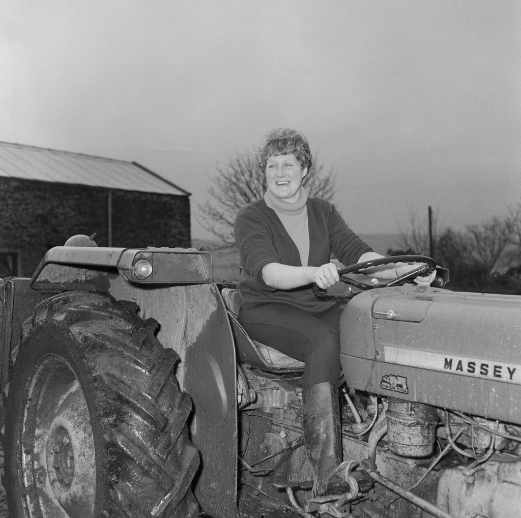 Detail of Miss Kneen, Ballacraine Farm by Manx Press Pictures