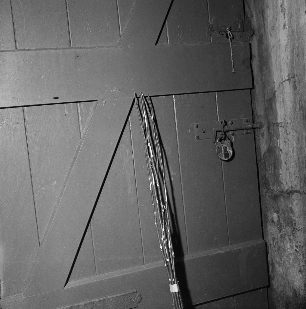 Detail of The Birch, Isle of Man by Manx Press Pictures