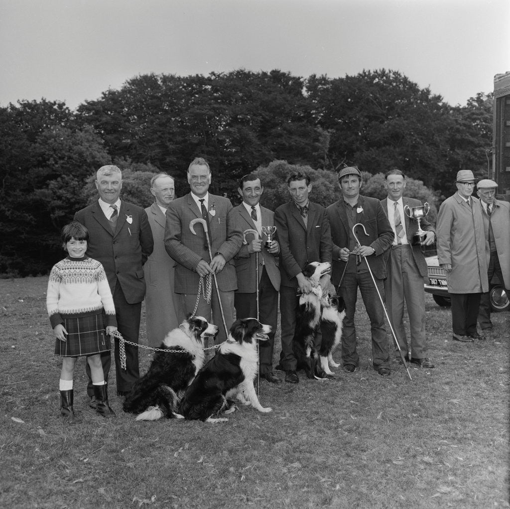 Detail of Irish National Sheep Dog Trials by Manx Press Pictures