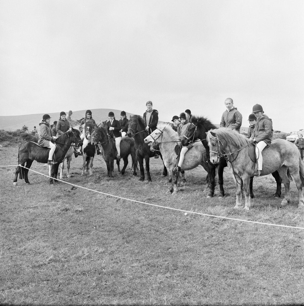 Detail of Horse gymkhana, Isle of Man by Manx Press Pictures