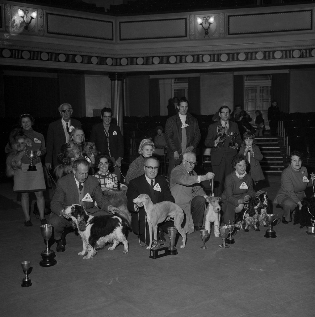 Detail of Dog Show, Villa Marina, Douglas by Manx Press Pictures