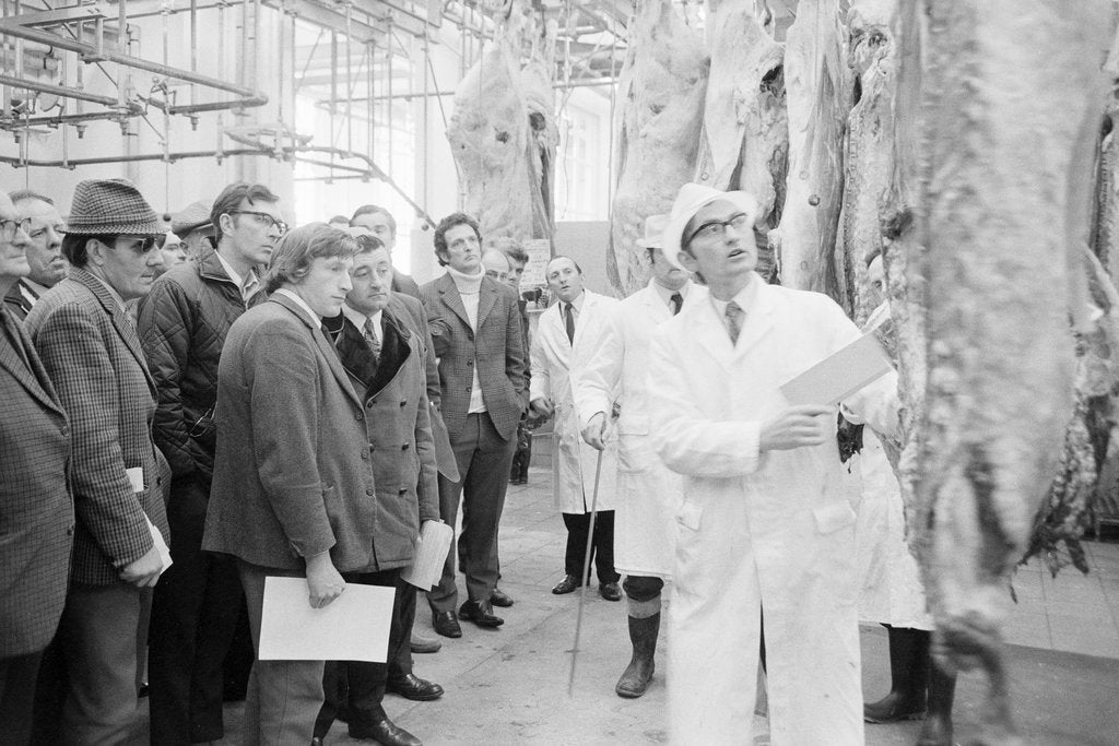 Detail of Beef at abattoir, Isle of Man by Manx Press Pictures