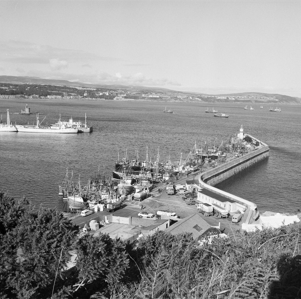 Detail of Herring fleet in Douglas Bay by Manx Press Pictures