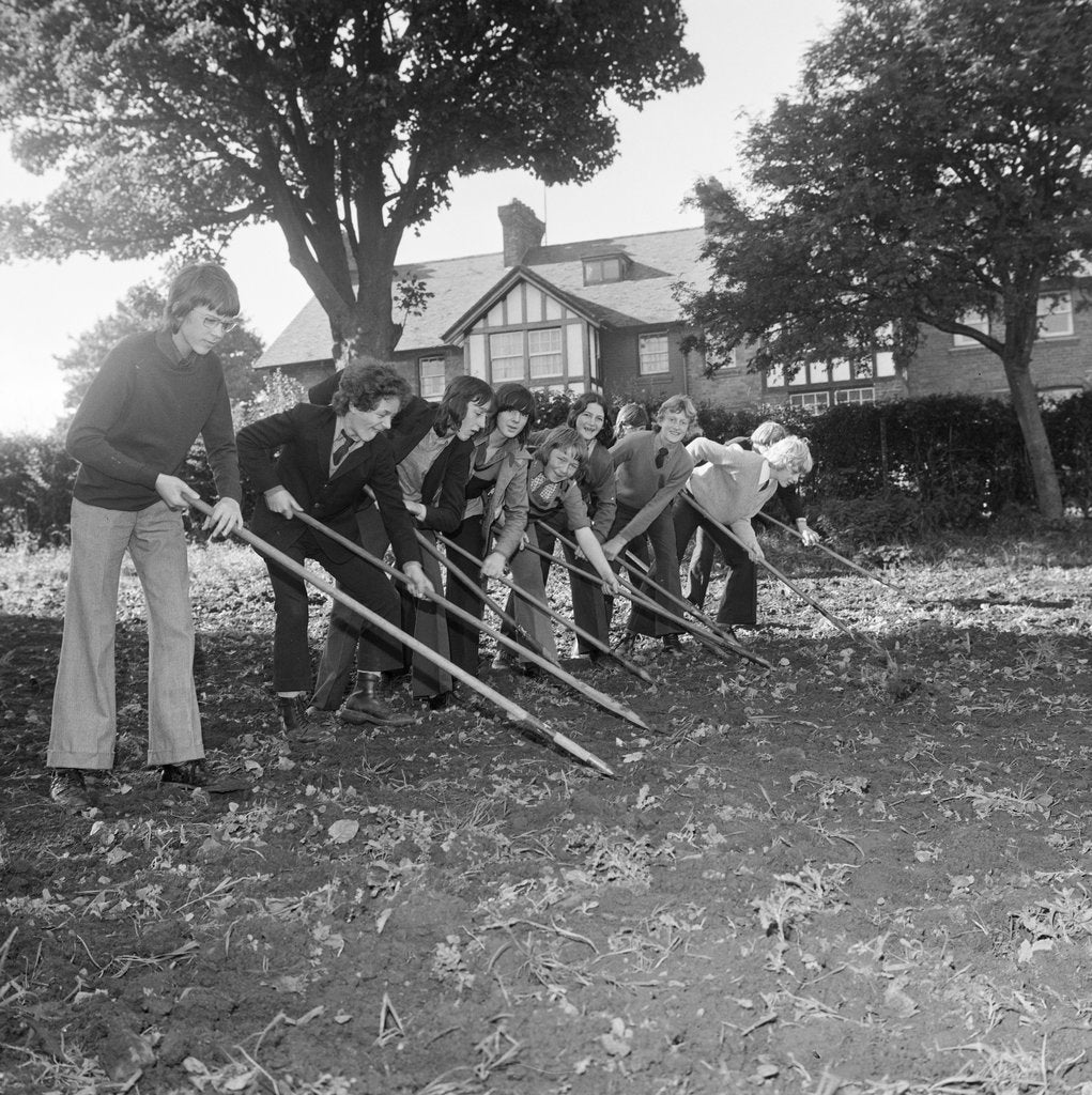 Detail of Douglas High School garden nursery by Manx Press Pictures