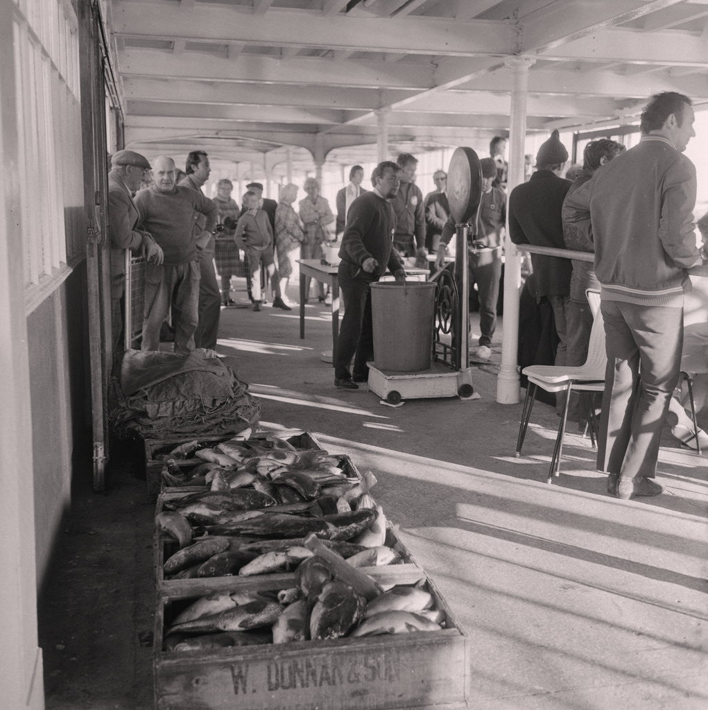 Detail of Herring fishing by Manx Press Pictures