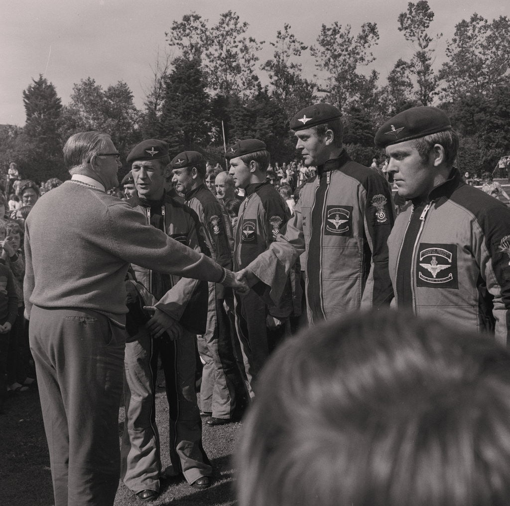 Detail of Red Devils, Bowl by Manx Press Pictures