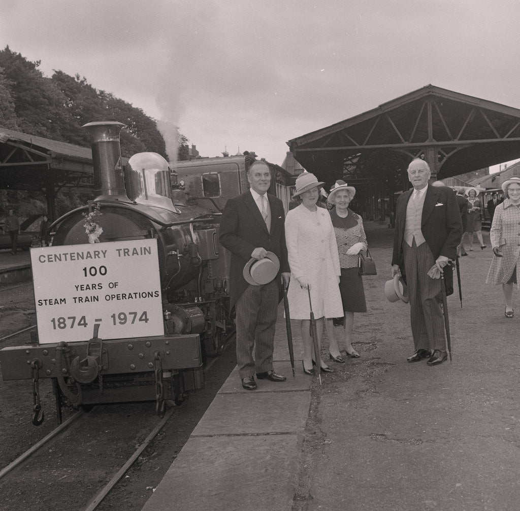 Detail of Isle of Man Railway Centenary , Port Erin line by Manx Press Pictures