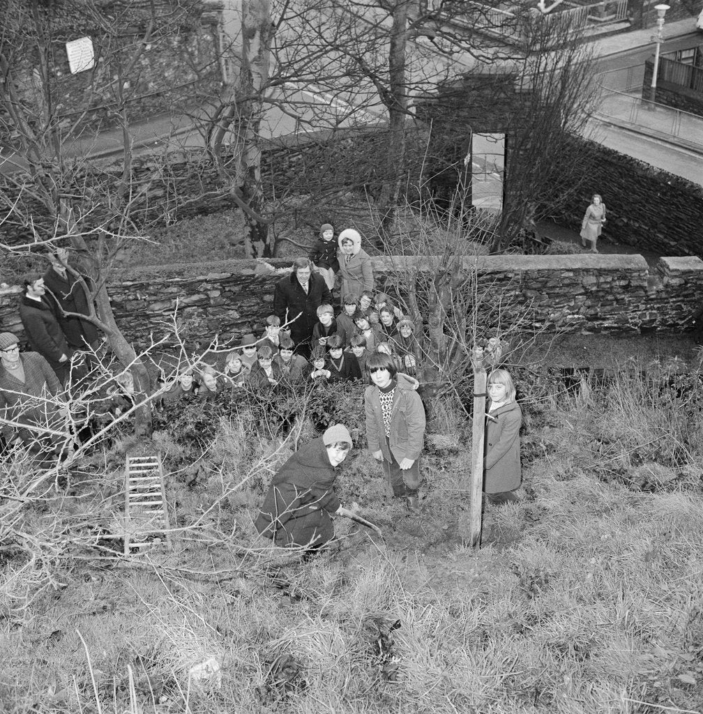 Detail of Tree planting, Manx Museum, Douglas by Manx Press Pictures
