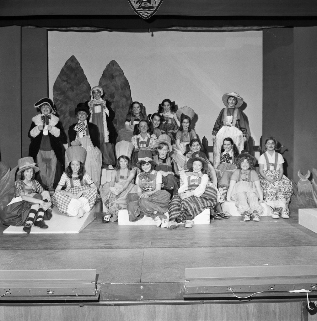 Detail of 'Wizard of Oz', Ballakermeen by Manx Press Pictures