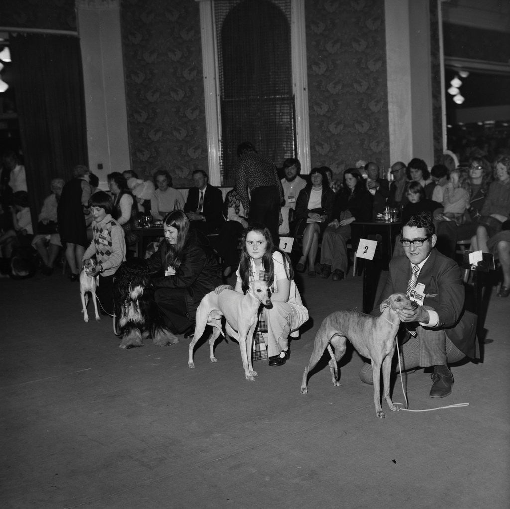 Detail of Dog Show, Villiers hotel by Manx Press Pictures