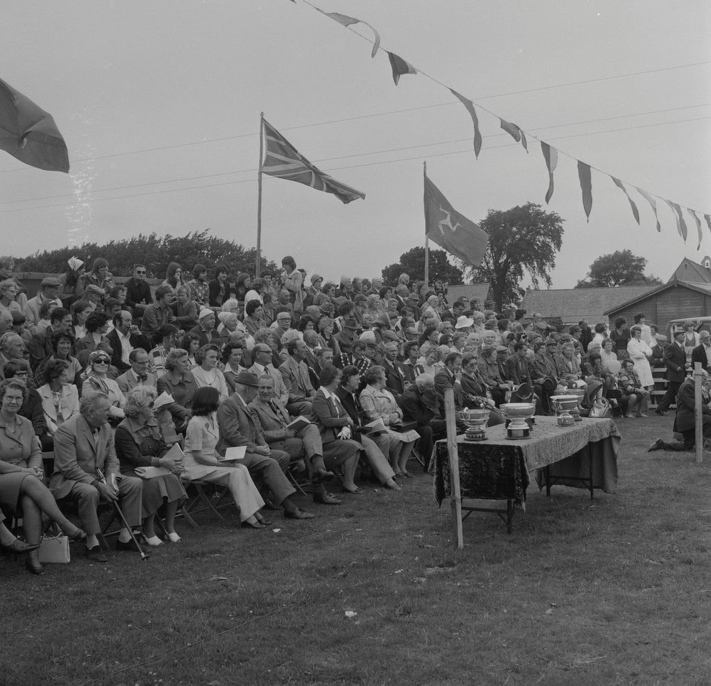 Detail of Royal Manx Agricultural Show, Sulby by Manx Press Pictures