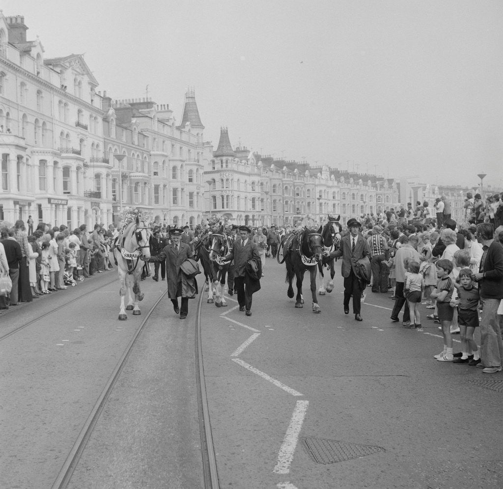 Detail of Horse tram centenary celebrations by Manx Press Pictures