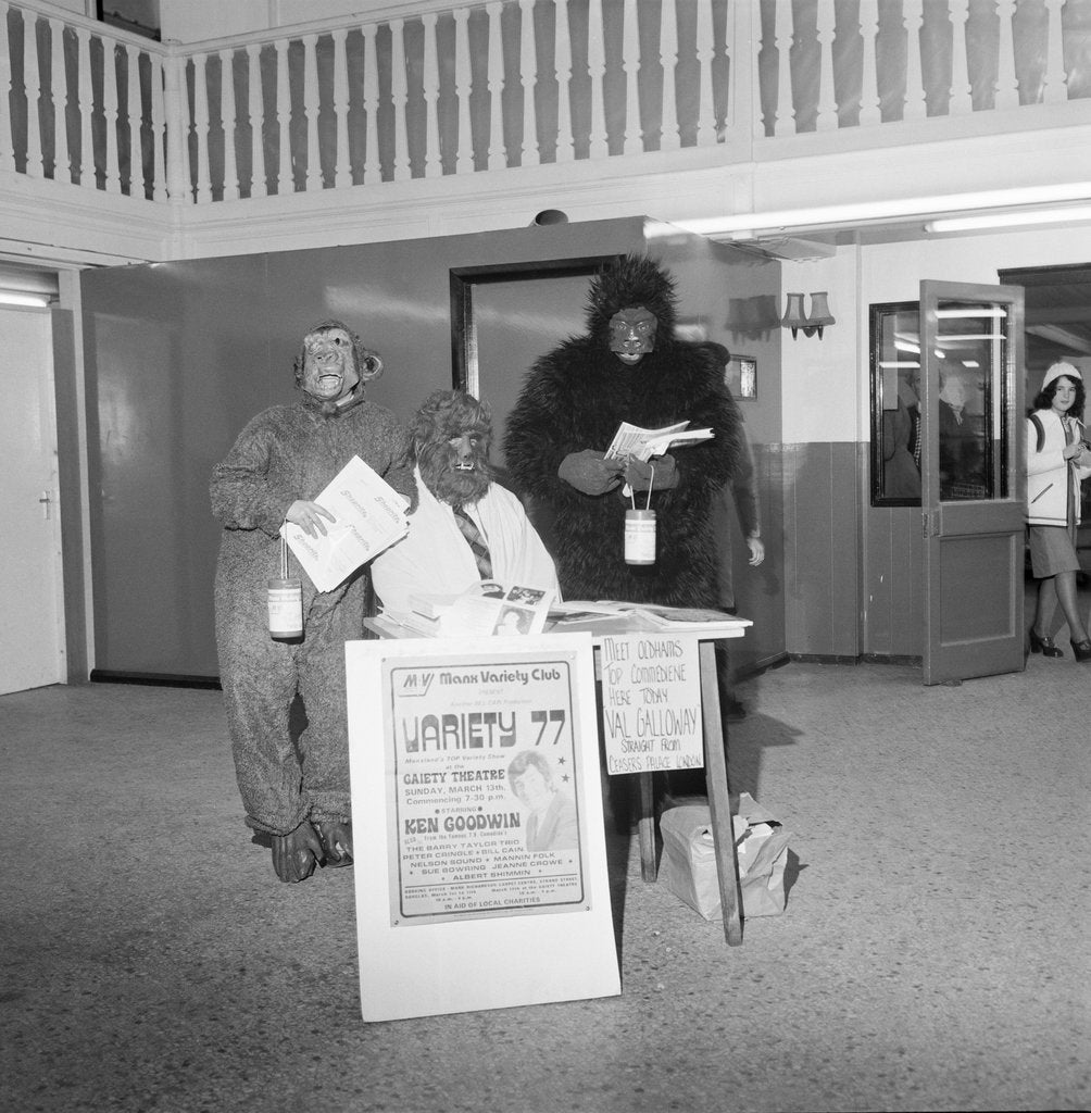 Detail of 'Monkeys at Shoprite' by Manx Press Pictures