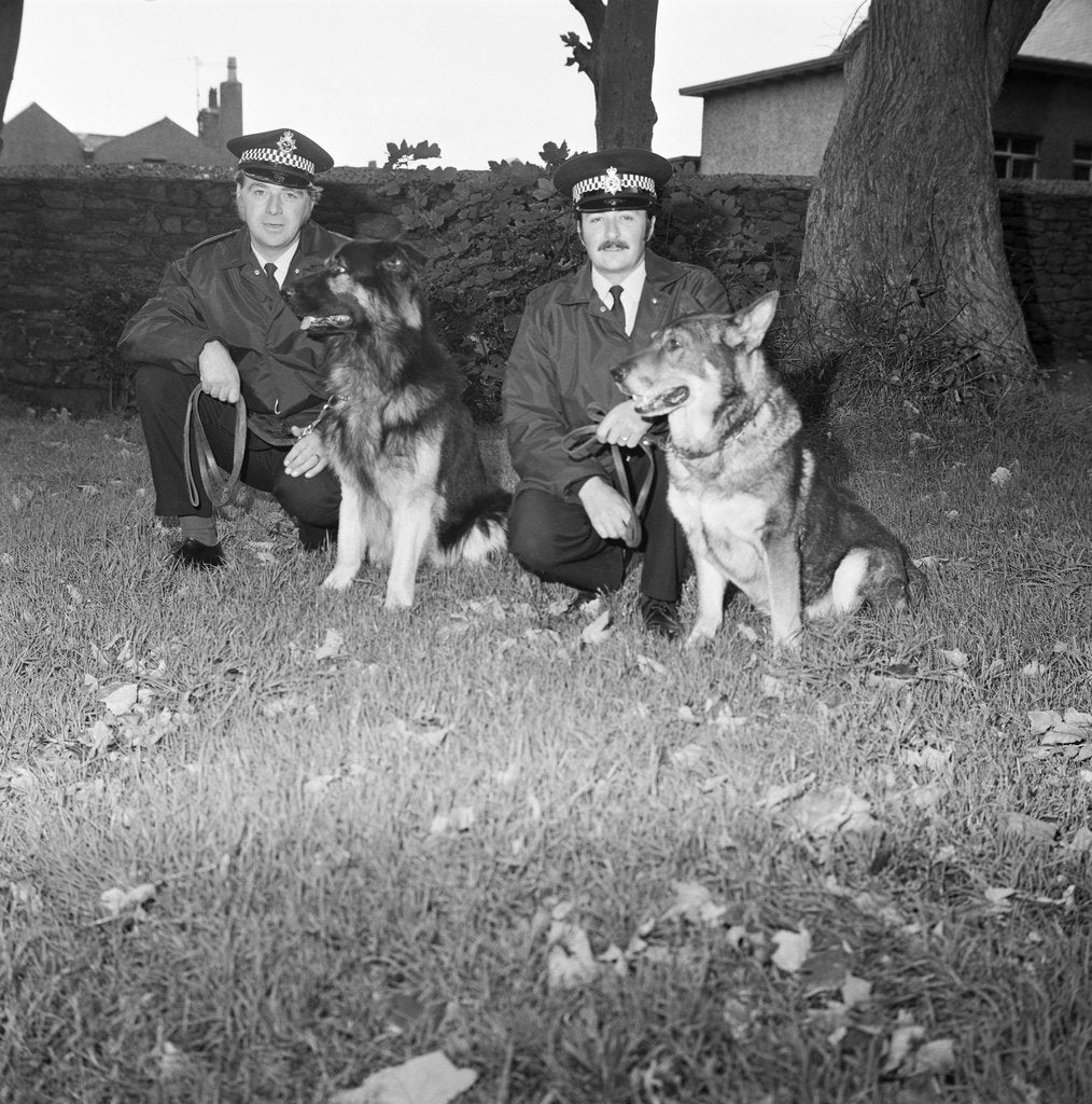 Detail of Police dogs at Peel by Manx Press Pictures