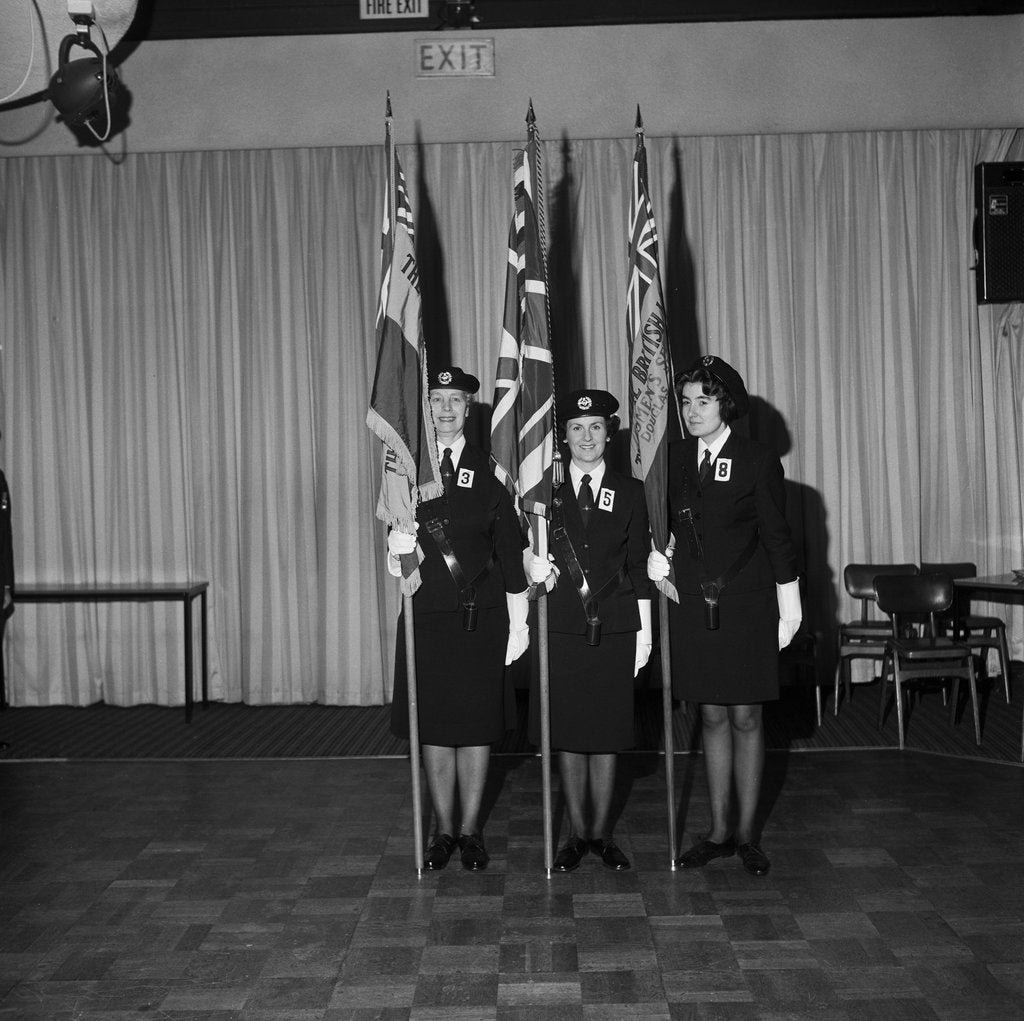 Detail of Royal British Legion Standard Completion, Villiers, Douglas by Manx Press Pictures