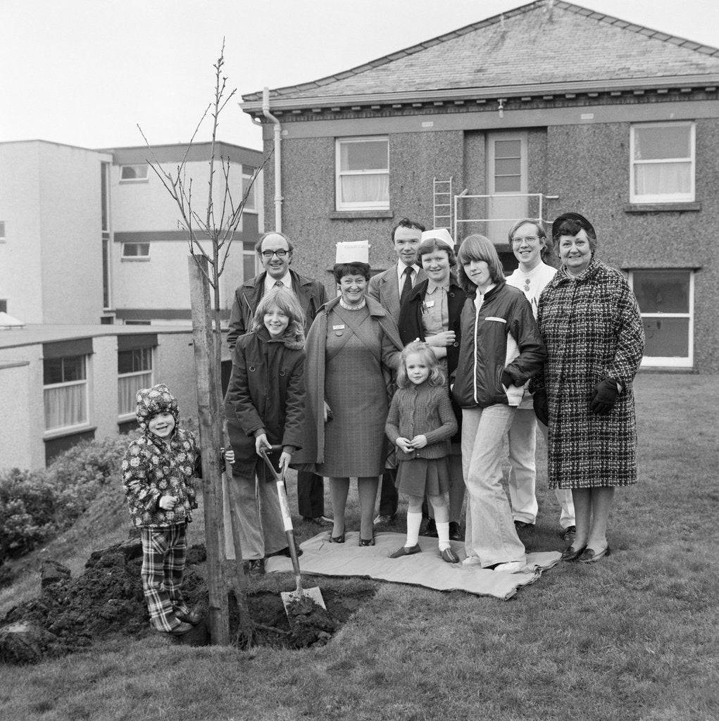 Detail of Tree planting, Noble's Hospital, Douglas by Manx Press Pictures