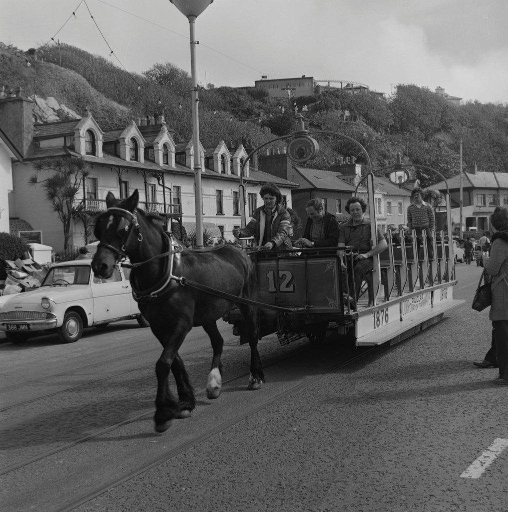 Detail of Horse tram parade, Douglas Promenade by Manx Press Pictures