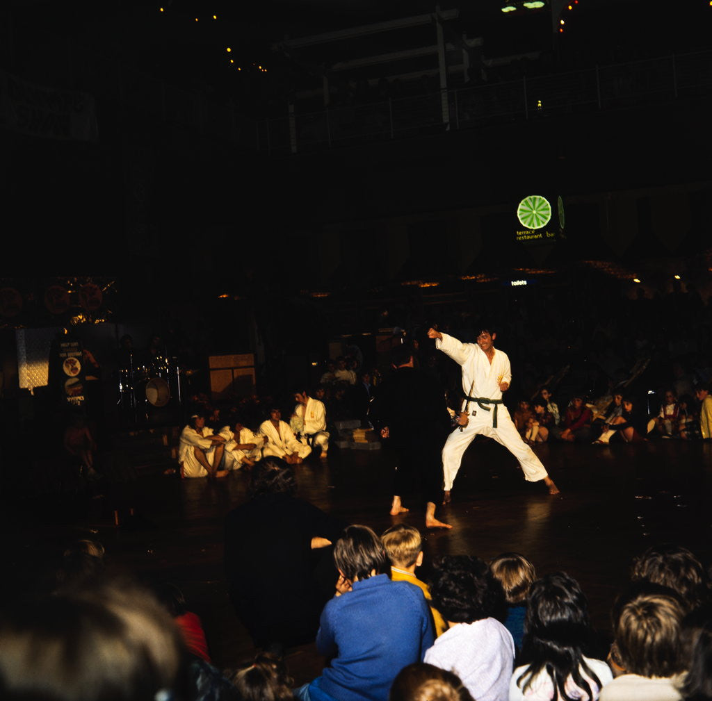 Detail of Summerland by Manx Press Pictures