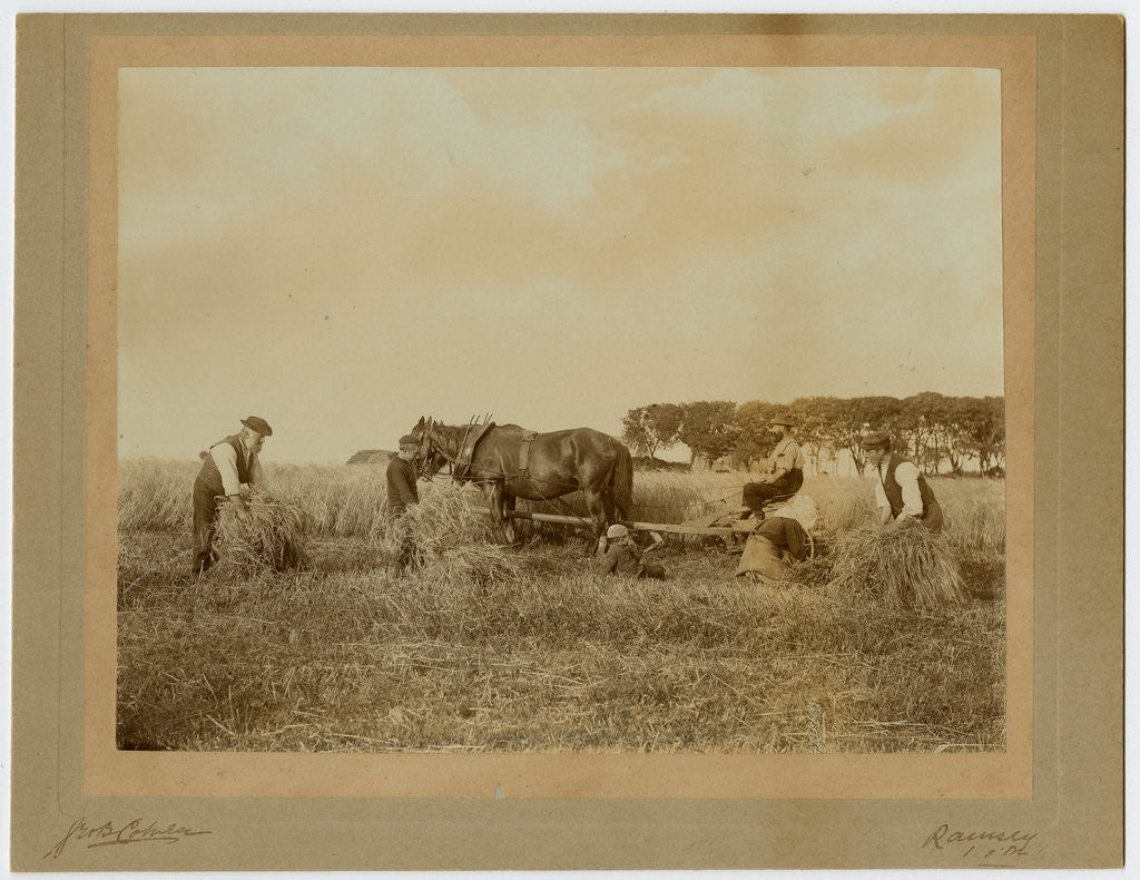 Detail of Members of the Christian family of Ballayonaigne, Bride, reaping a field on the farm by George Bellett Cowen