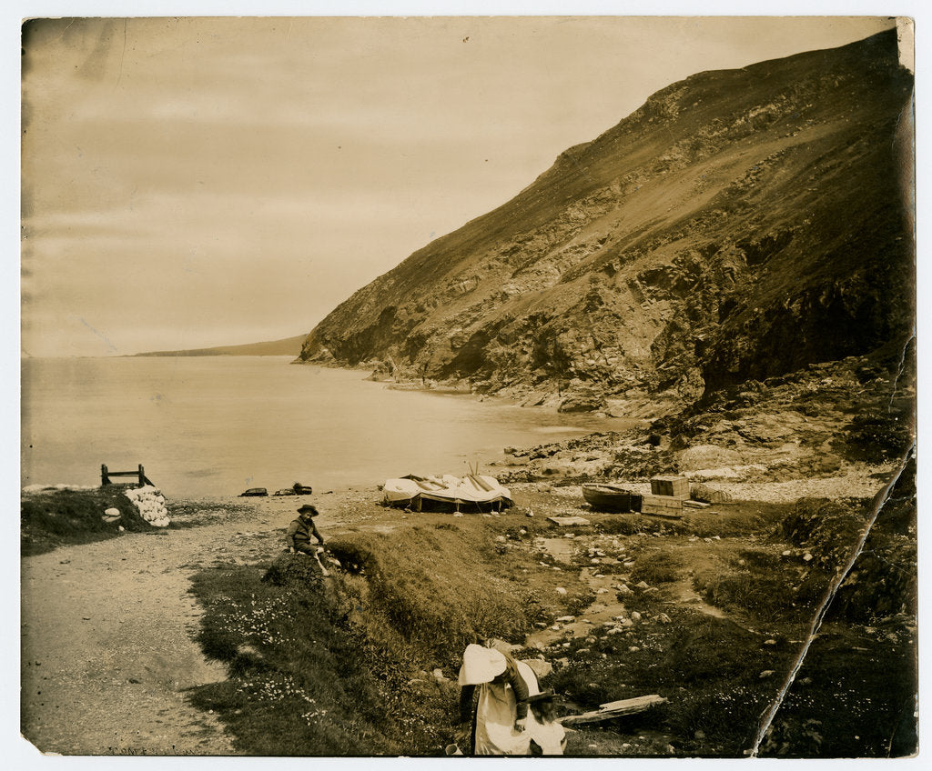 Detail of Fleshwick by George Bellett Cowen