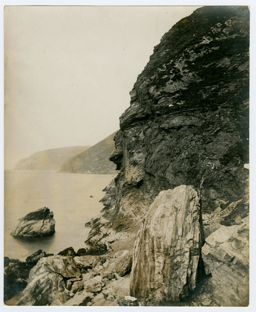 Detail of Last nesting place of the golden eagle, near Fleshwick by George Bellett Cowen