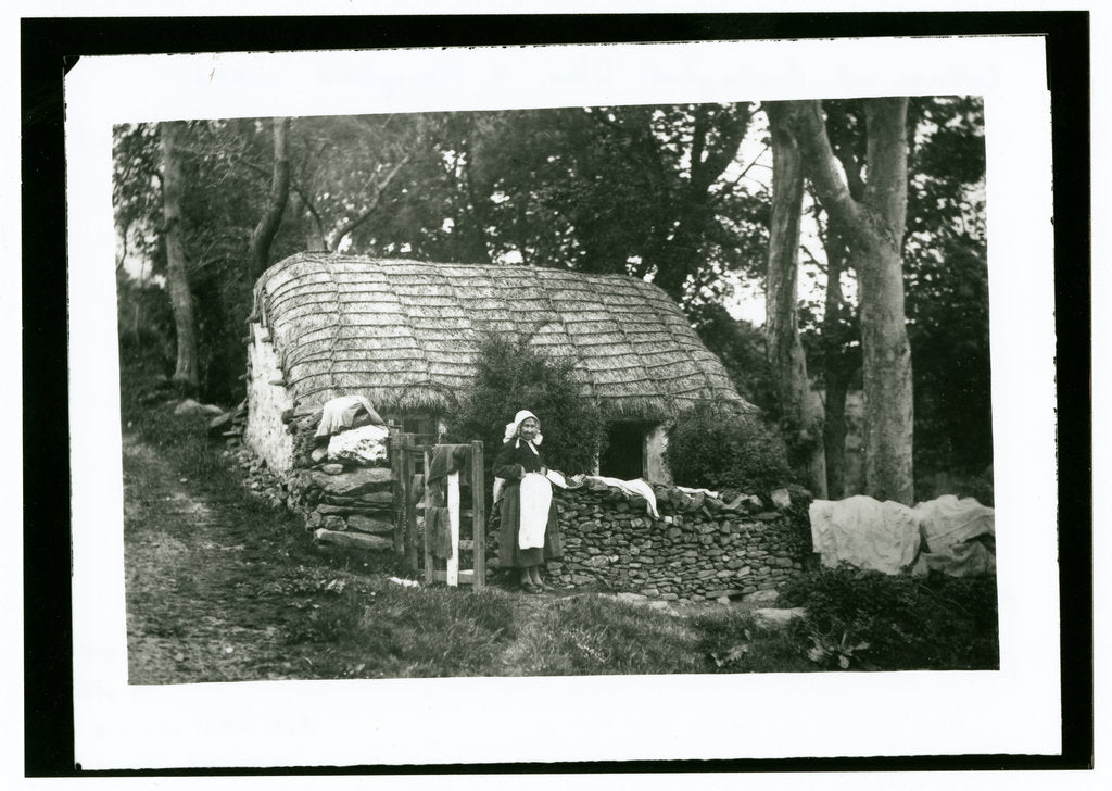 Detail of Cottage, Ballaglass Glen by George Bellett Cowen