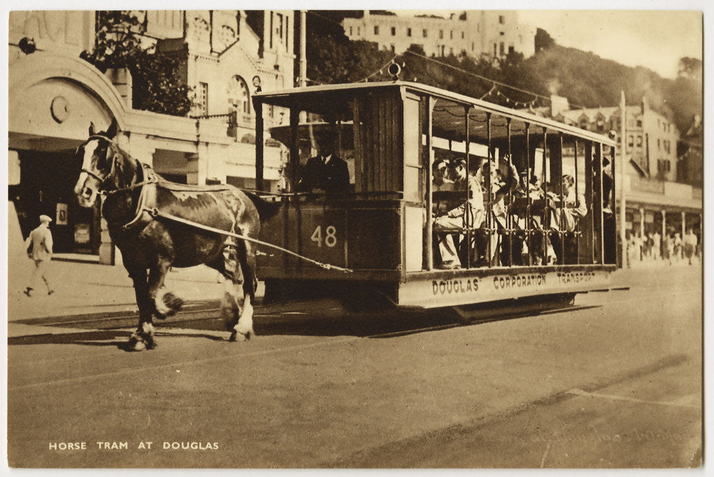 Detail of Horse Tram Outside the Palace by Anonymous