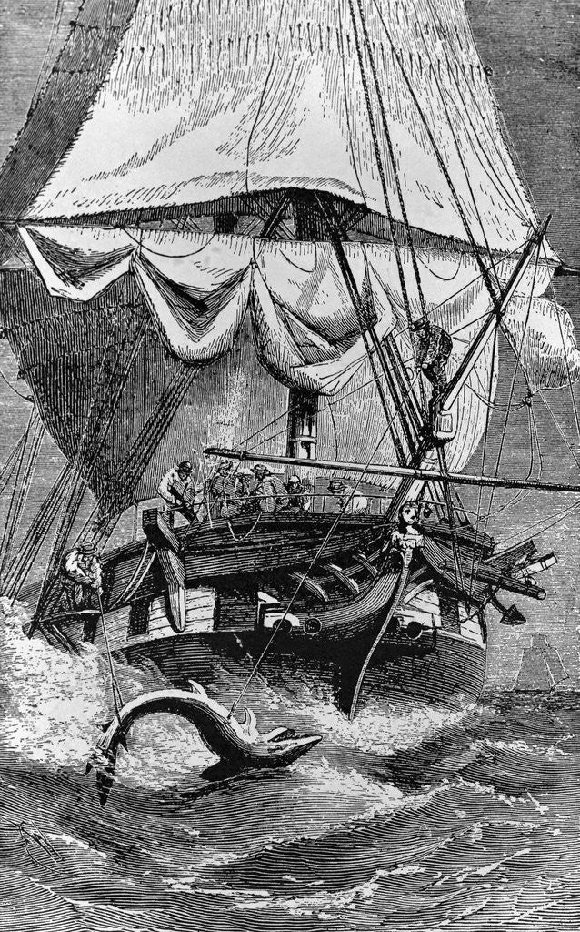 Detail of Crew of Charles Darwin's Ship Shark Fishing by Anonymous