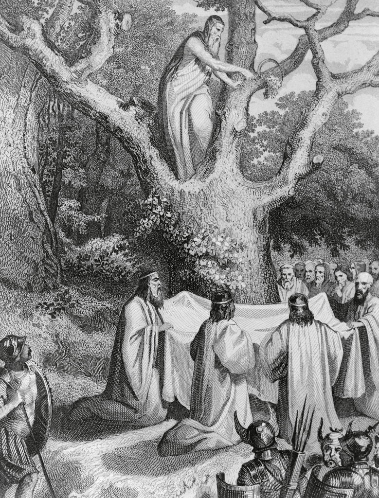 Detail of Druids Collecting Mistletoe to Symbolize Peace by Anonymous