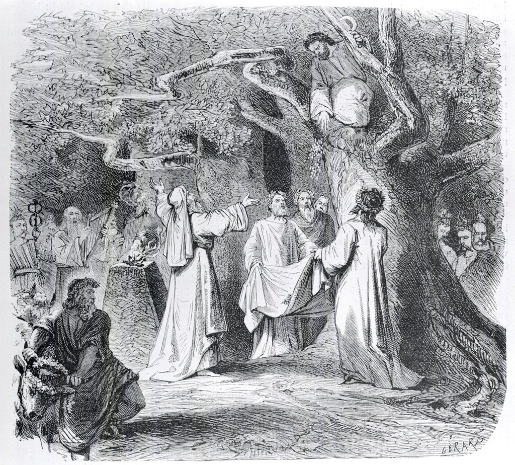 Detail of Illustration of Druid Throwing Mistletoe by Corbis