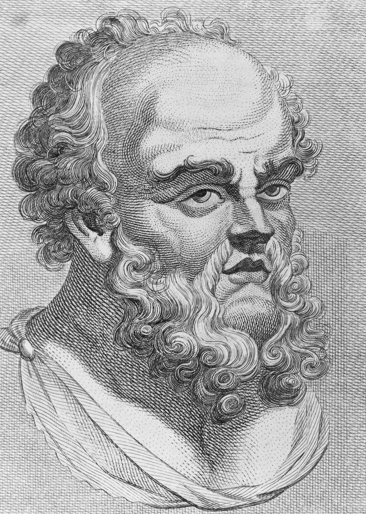 Detail of Portrait of Socrates by Anonymous