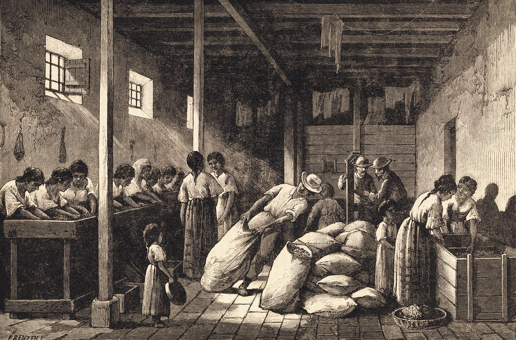 Detail of Workers Packing Coffee by Anonymous
