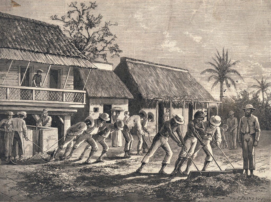 Detail of Farmers Spreading Coffee Beans by Anonymous