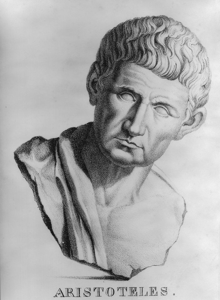 Detail of Aristotle, Greek Philosopher by Anonymous
