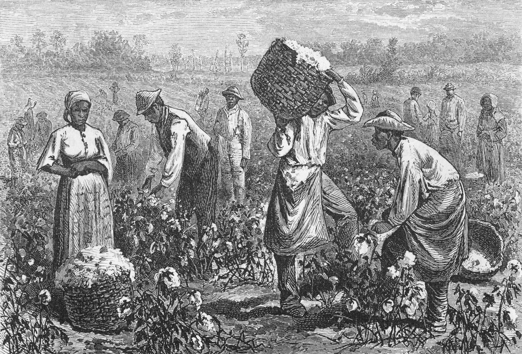 Detail of Workers Picking Cotton by Anonymous