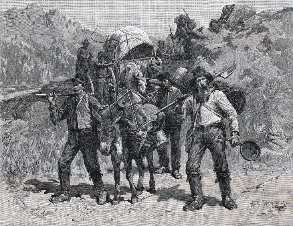 Detail of Illustration of California Prospectors by Allen Carter Redwood