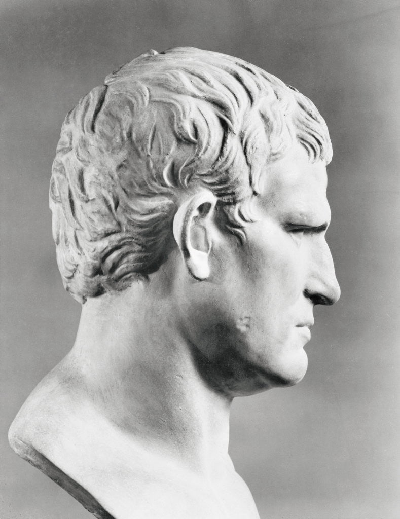 Detail of Head of Agrippa Sculpture by Anonymous