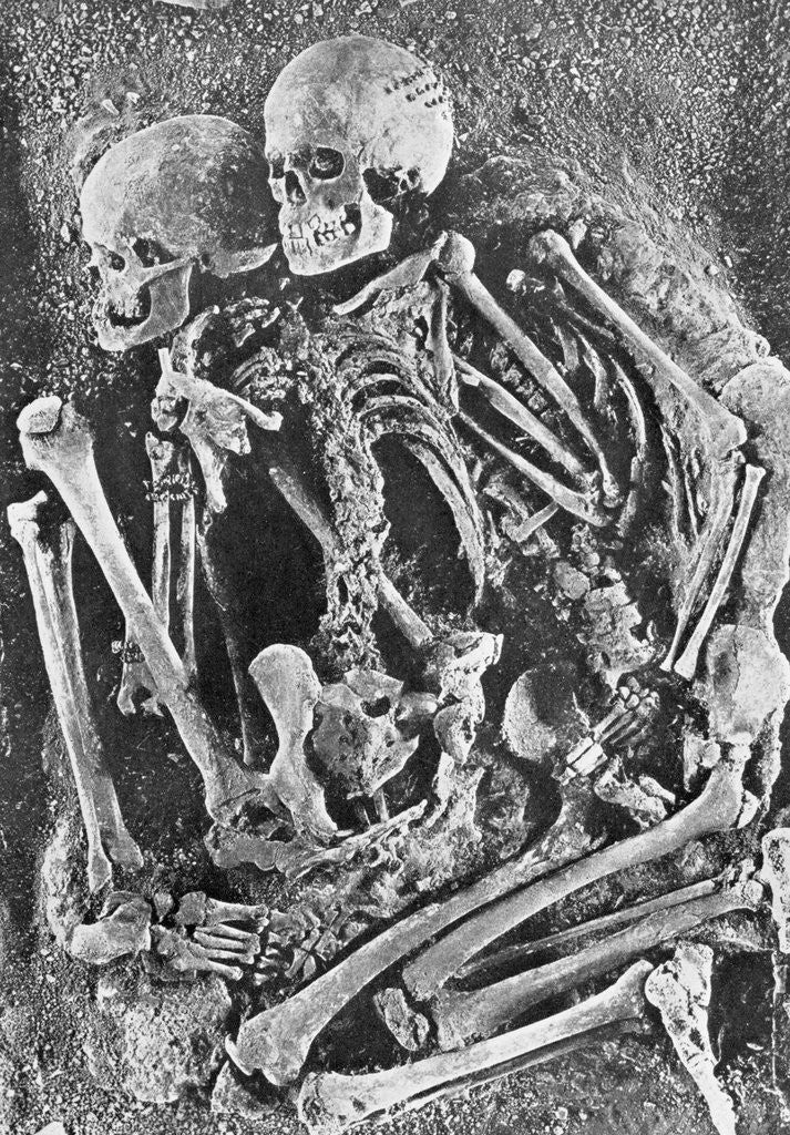 Detail of Skeletons from Grimaldi-Grotto by Anonymous