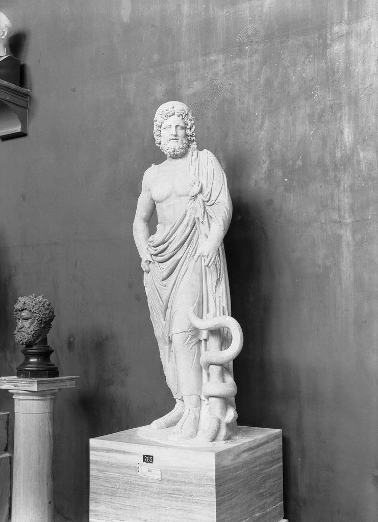 Detail of Display of Aesculapius Statue by Anonymous