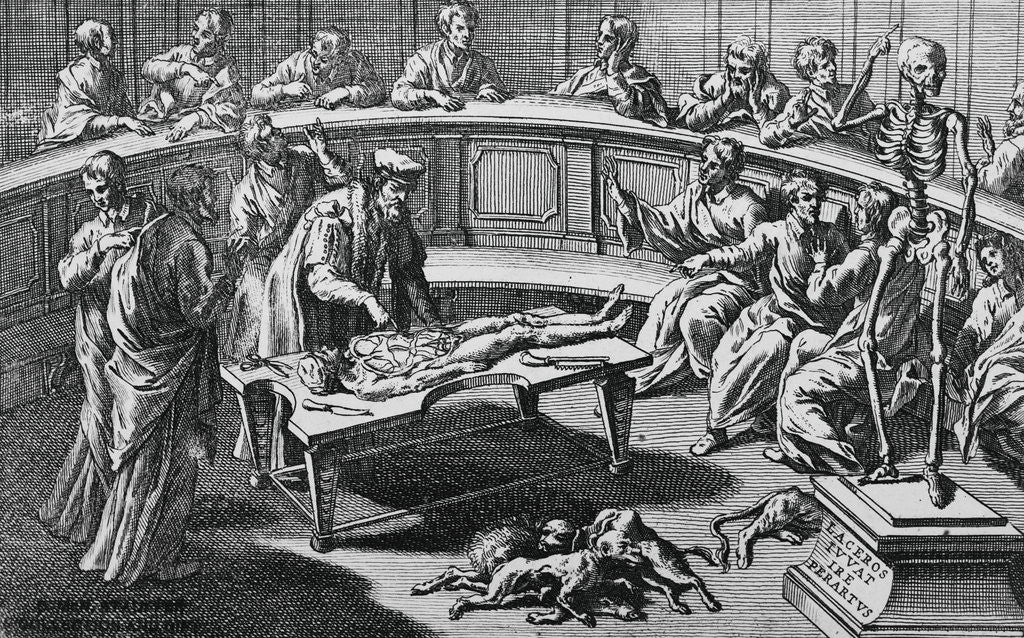 Detail of Man Dissecting Corpse at Anatomical Theater by Anonymous
