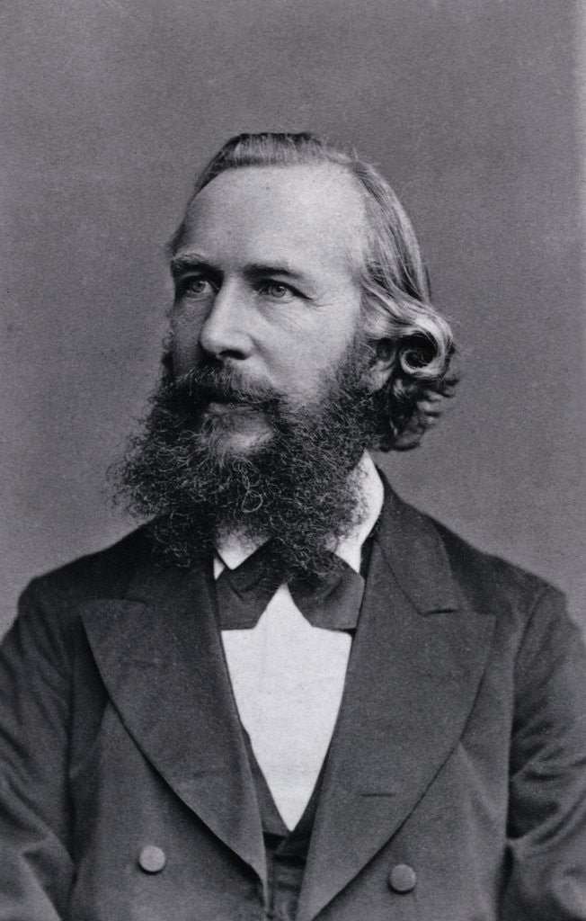 Detail of Ernest Haekel by Anonymous