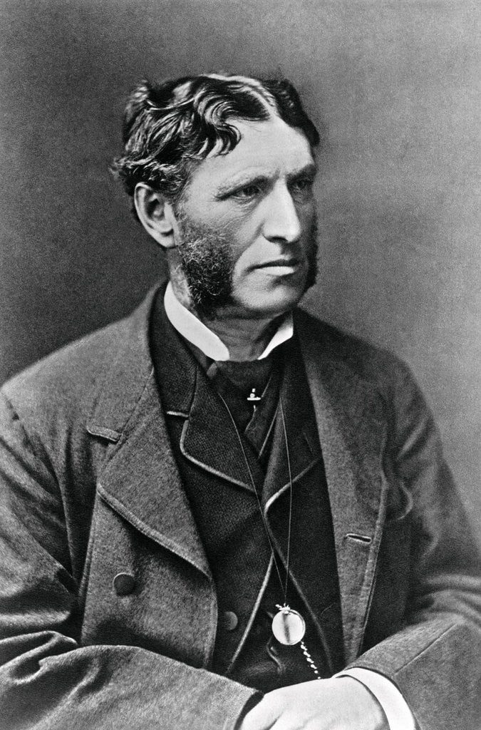 Detail of Portrait of Matthew Arnold by Anonymous