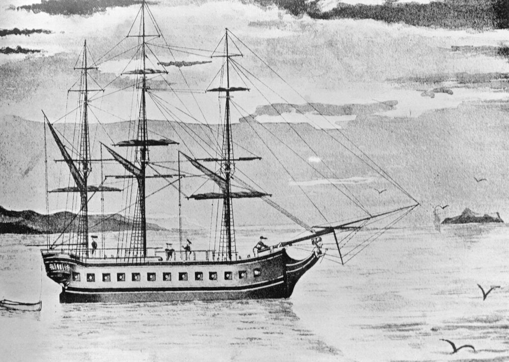 Detail of The Resolution Sailing Ship by Anonymous