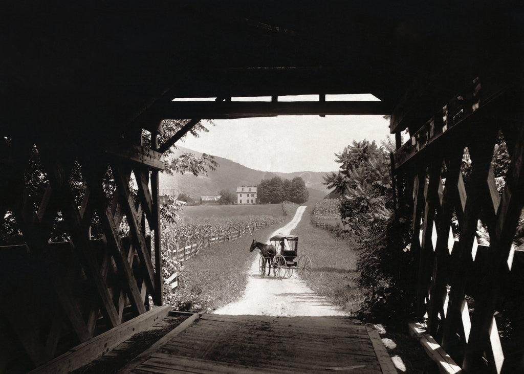 Detail of Horse and Buggy Viewed Through Covered Bridge by Corbis