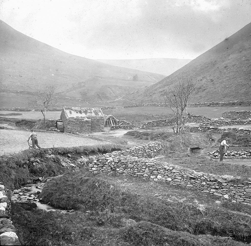 Detail of Land above Ravensdale Castle, Ballaugh, Isle of Man by George Bellett Cowen