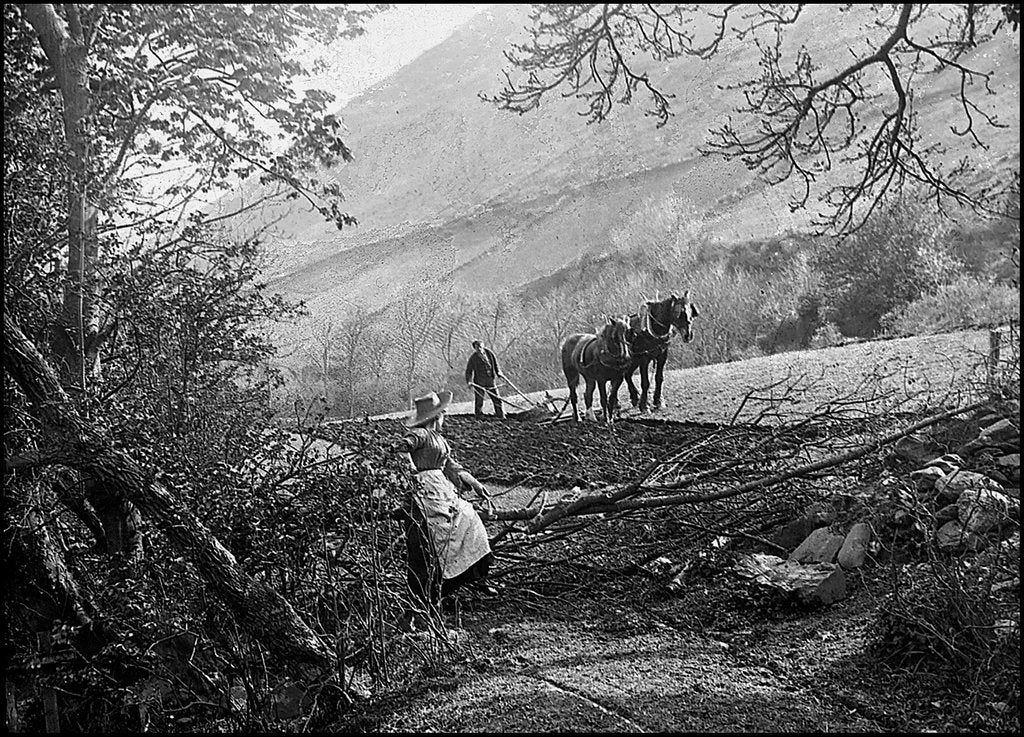 Detail of Ploughing in Sulby Glen, Isle of Man by George Bellett Cowen