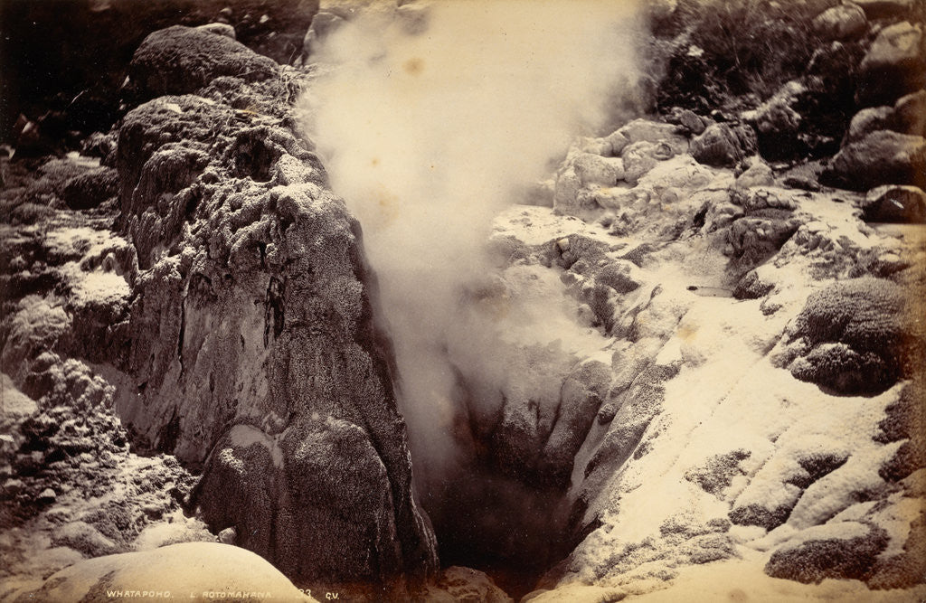 Detail of Whatapoho, Lake Rotomahana New Zealand by Anonymous