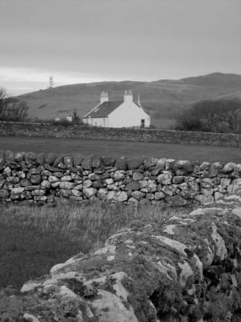 Detail of Kintyre... Plus. 13 by Peter McClure